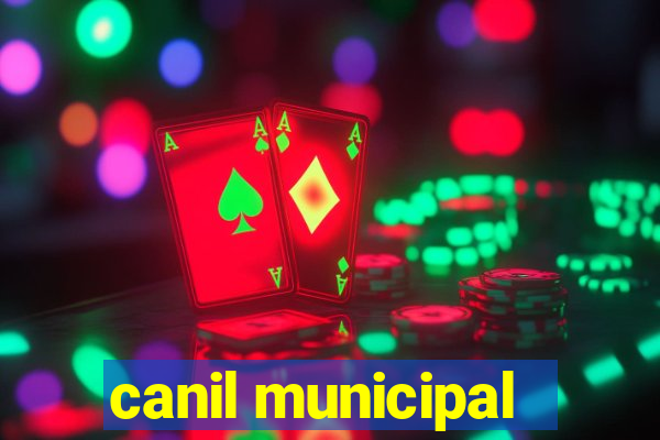 canil municipal